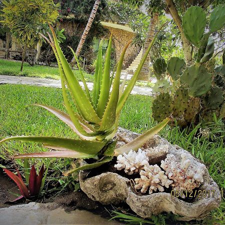 Fortamu Lady D House Watamu Exteriör bild