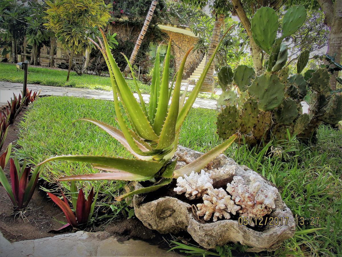 Fortamu Lady D House Watamu Exteriör bild